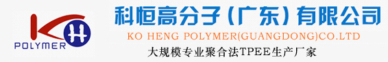 科恒高分子(广东)有限公司